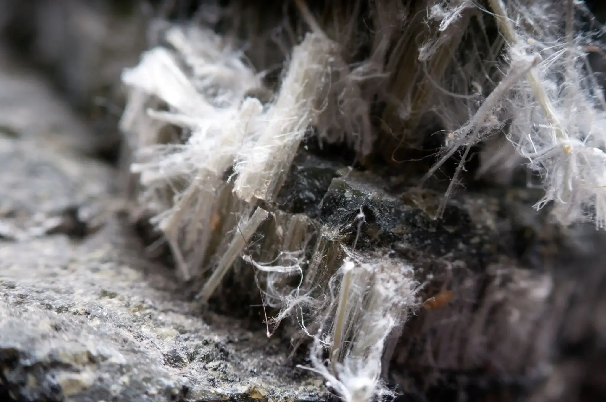 Asbestos Removal Edmonton